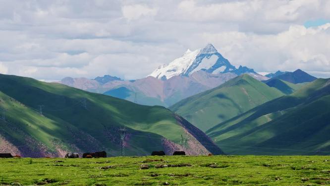 西藏那曲雪山草原壮观大气视频