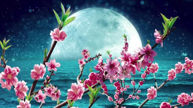 唯美月色星空挑花花瓣流星背景