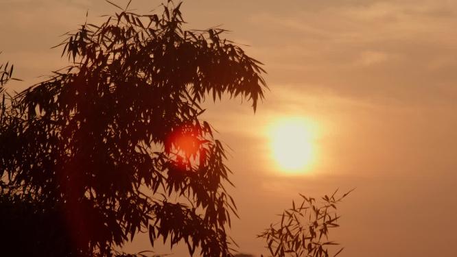 4k实拍夕阳日落唯美素材