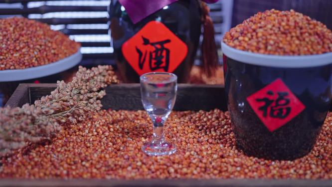4k实拍中国白酒高粱酒