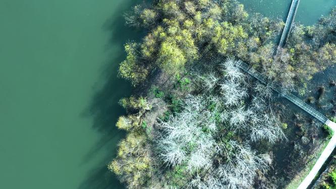 4k航拍清镇时光贵州湿地公园