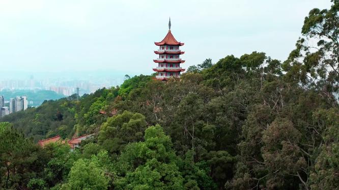 4k航拍广西梧州四恩禅寺