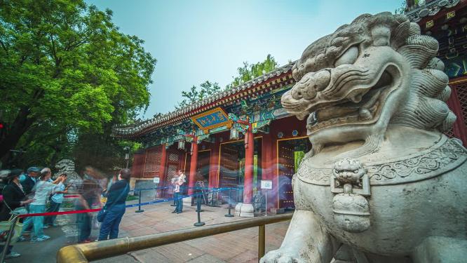 8k延时北京大学清华大学