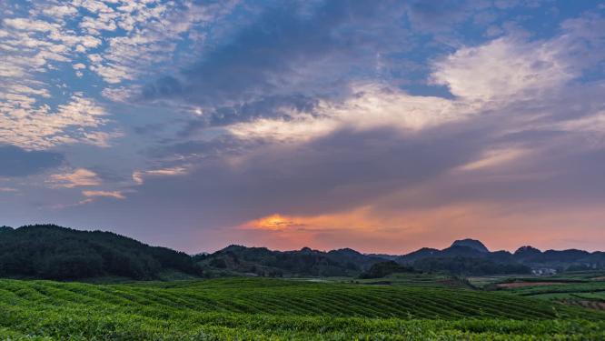 延时春茶夕阳