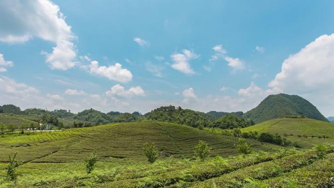 茶坡云层