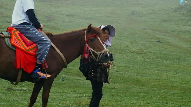 4k实拍草原游客骑马