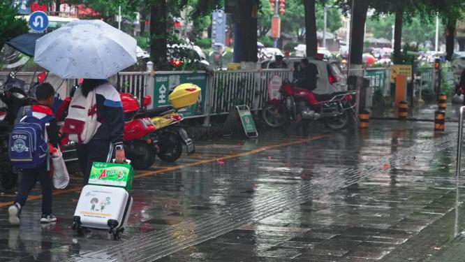 4k实拍雨中行人打伞