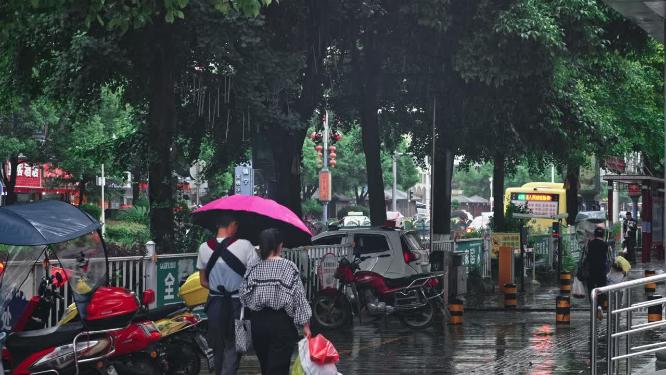 4k实拍雨中行人打伞