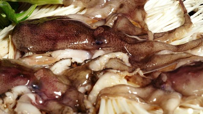 4k实拍美食八爪鱼