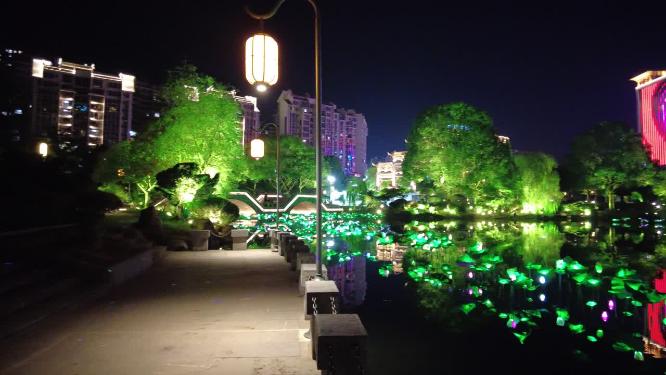 郴州爱莲湖湖面莲花灯灯光夜景