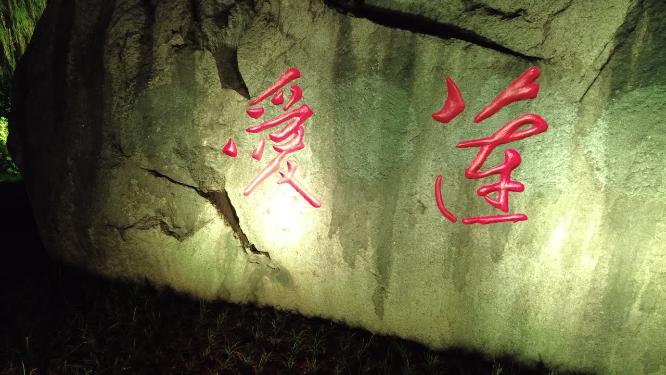 郴州爱莲湖石头名字名称灯光夜景