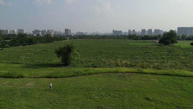 汉长安城遗址航拍 西安未央公园 地肤草 古丝绸之路起点 世界遗产名录 未央宫文物