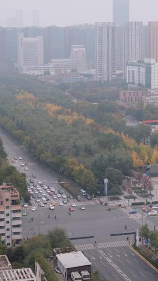 白天西安高新区唐延路的车流