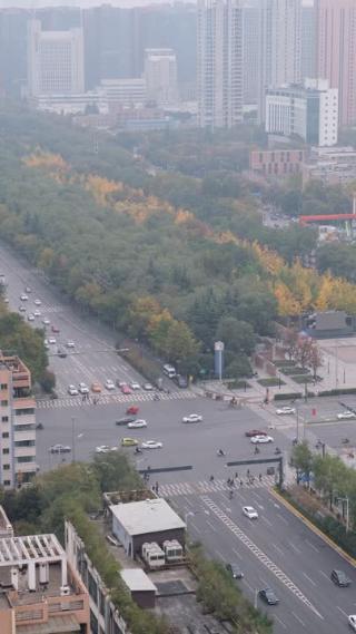 白天西安高新区唐延路的车流