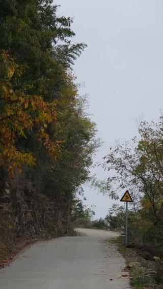 秋天山中的道路