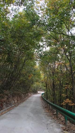 秋天山中的道路