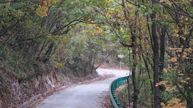 秋天山林中的小路
