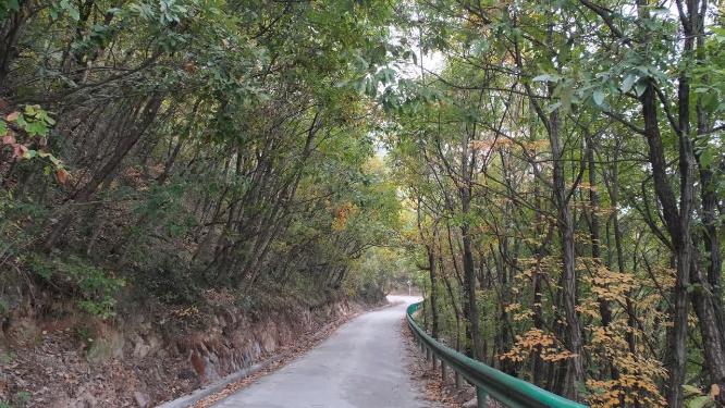 秋天山林中的小路