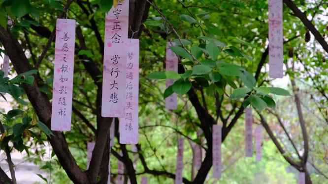 西安大兴善寺微风中摇曳的佛教便笺
