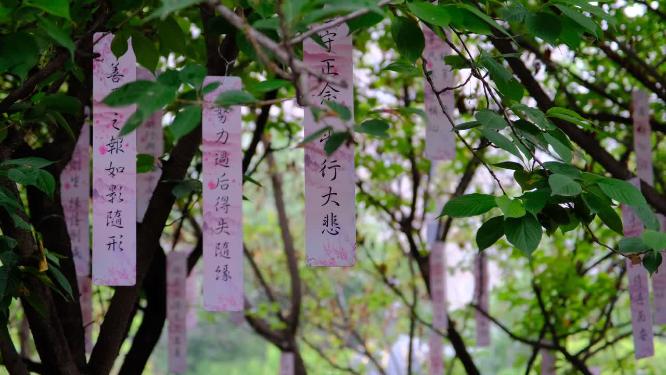 西安大兴善寺微风中摇曳的佛教便笺