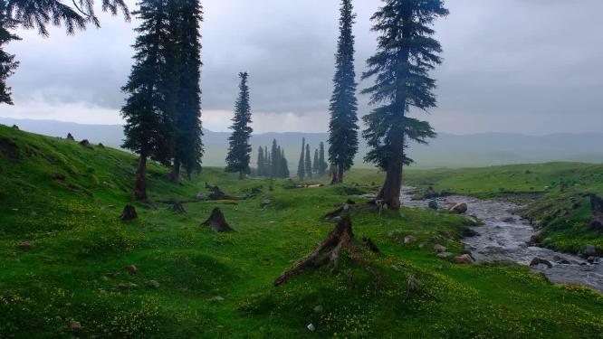 新疆那拉提草原雪山森林小溪绝美风光