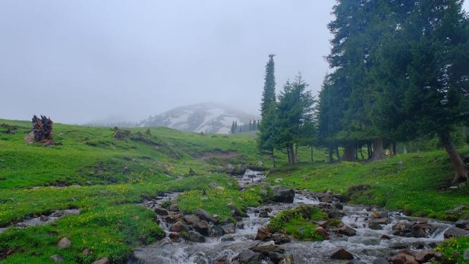 新疆那拉提草原雪山森林小溪绝美风光