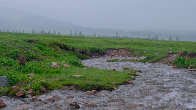 新疆那拉提草原雪山森林小溪绝美风光