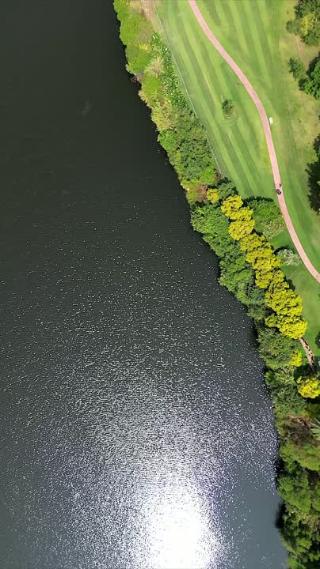 秋日晴天厦门上李水库山水林地生态之美4K航拍