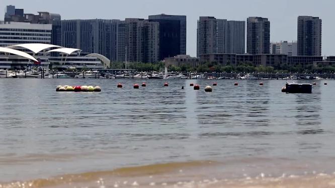 五缘湾内港湾夏日中午固定镜头高清