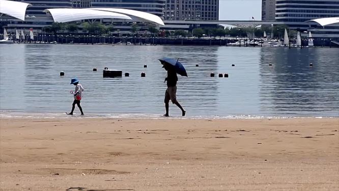海湾沙滩父子阳光下高清