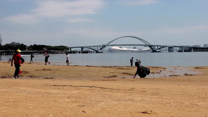 海边沙滩游客和海湾中午固定镜头延时高清
