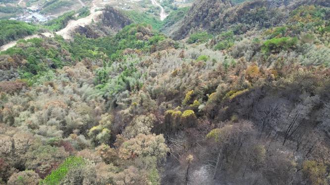 航拍重庆山火后的缙云山隔离带