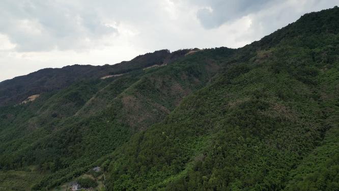 航拍重庆山火后的缙云山隔离带