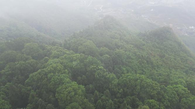 云雾缭绕的重庆北碚缙云山自然风光航拍