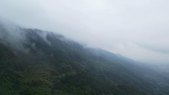 云雾缭绕的重庆北碚缙云山自然风光航拍
