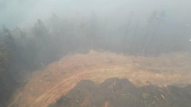 航拍重庆北碚缙云山隔离带（2022年8月山火后）
