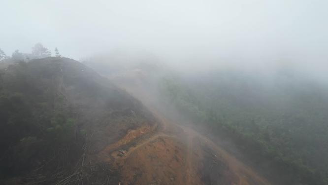 航拍重庆北碚缙云山隔离带（2022年8月山火后）