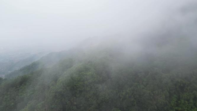 航拍重庆北碚缙云山隔离带（2022年8月山火后）