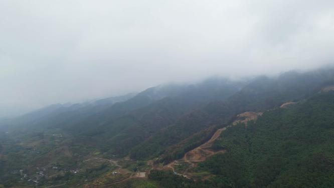 航拍重庆北碚缙云山隔离带（2022年8月山火后）