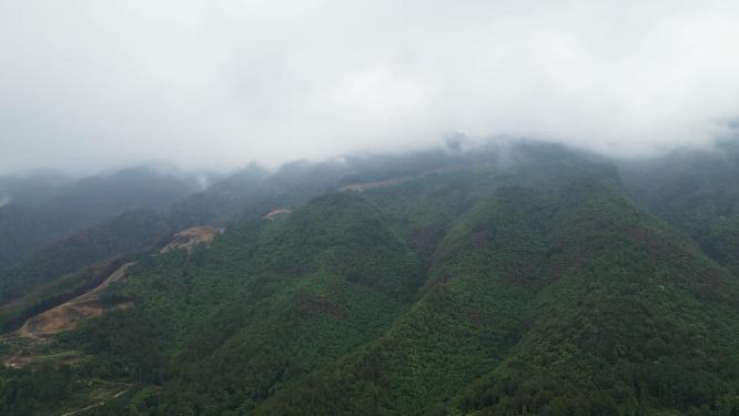 航拍重庆北碚缙云山隔离带（2022年8月山火后）