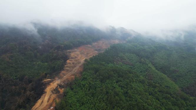 航拍重庆北碚缙云山隔离带（2022年8月山火后）