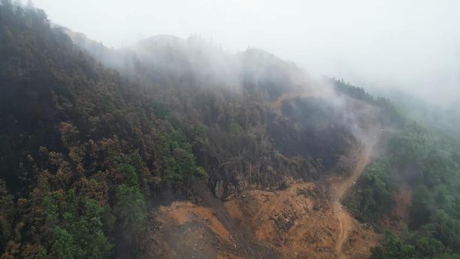 航拍重庆北碚缙云山隔离带（2022年8月山火后）