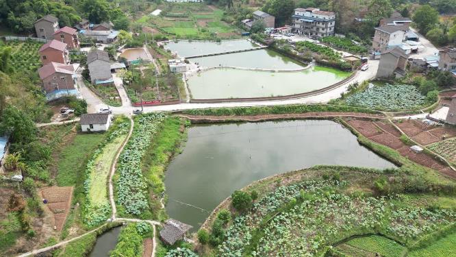 重庆沙坪坝农田乡村田园自然风光航拍素材