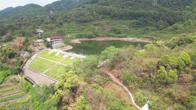 重庆沙坪坝农田乡村田园自然风光航拍素材