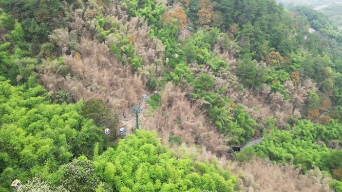 航拍重庆北碚缙云山观光索道风景合集