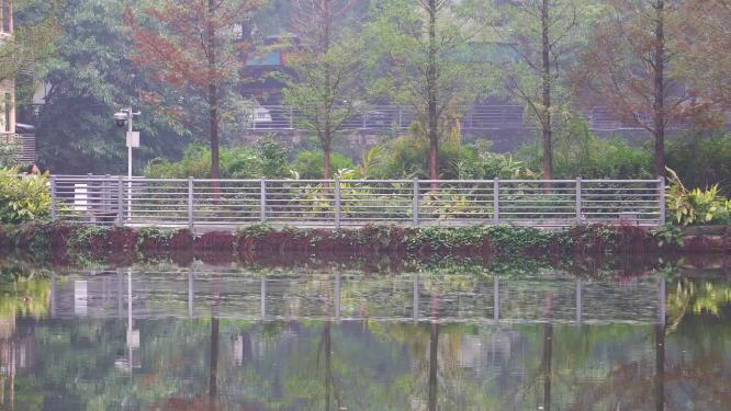 重庆西南大学校园风光景观合集