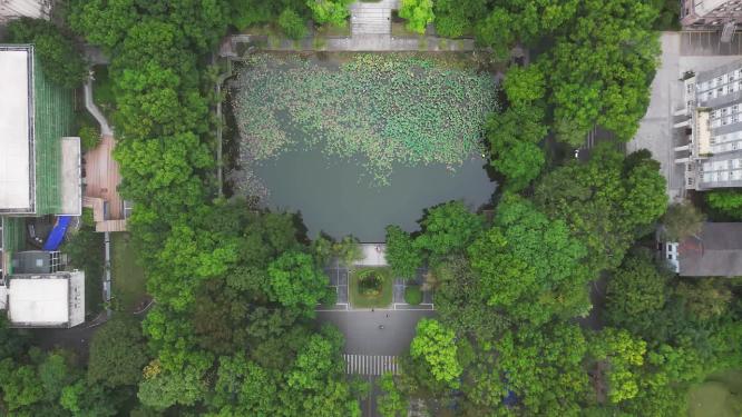 重庆北碚西南大学共青团花园景观航拍