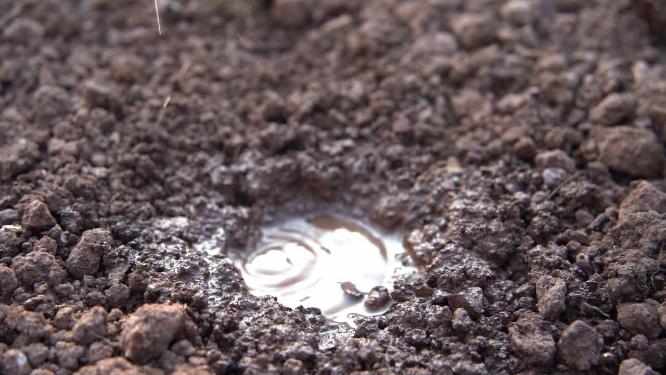 慢镜头雨滴滴落在土壤中的水坑-三农