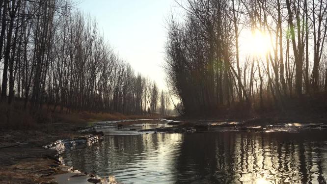 4K北方冬天暖阳下的河流潺潺流水