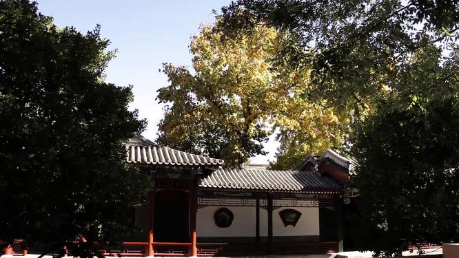 公园美景古代房屋建筑秋季银杏树等